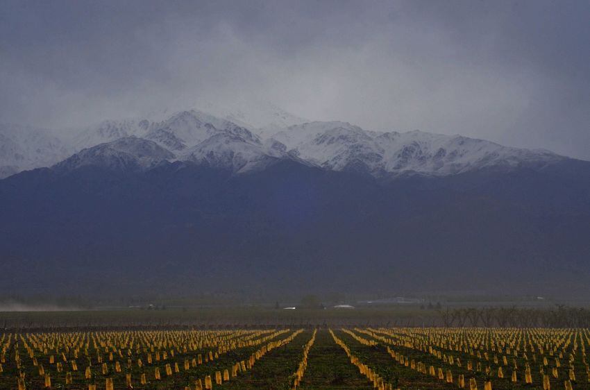 
Fuerte viento del Oeste afectando el Corredor Productivo en Valle de Uco  | Foto: Claudio Gutiérrez / Los Andes
   