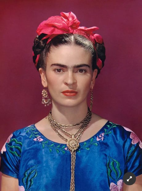 "Betty": la emotiva historia de la perra que se parece a Frida Kahlo