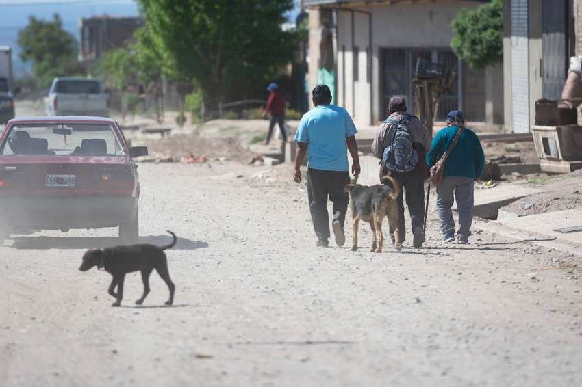 
Reclamo. Aunque son mayoría, los bolivianos dicen sentirse discriminados por muchos “criollos”. | Ignacio Blanco / Los Andes
   