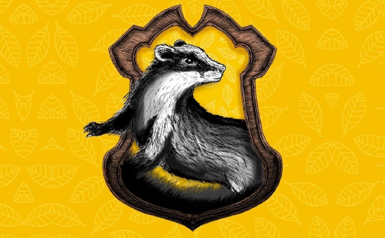 Hufflepuff según los signos del zodiaco - 