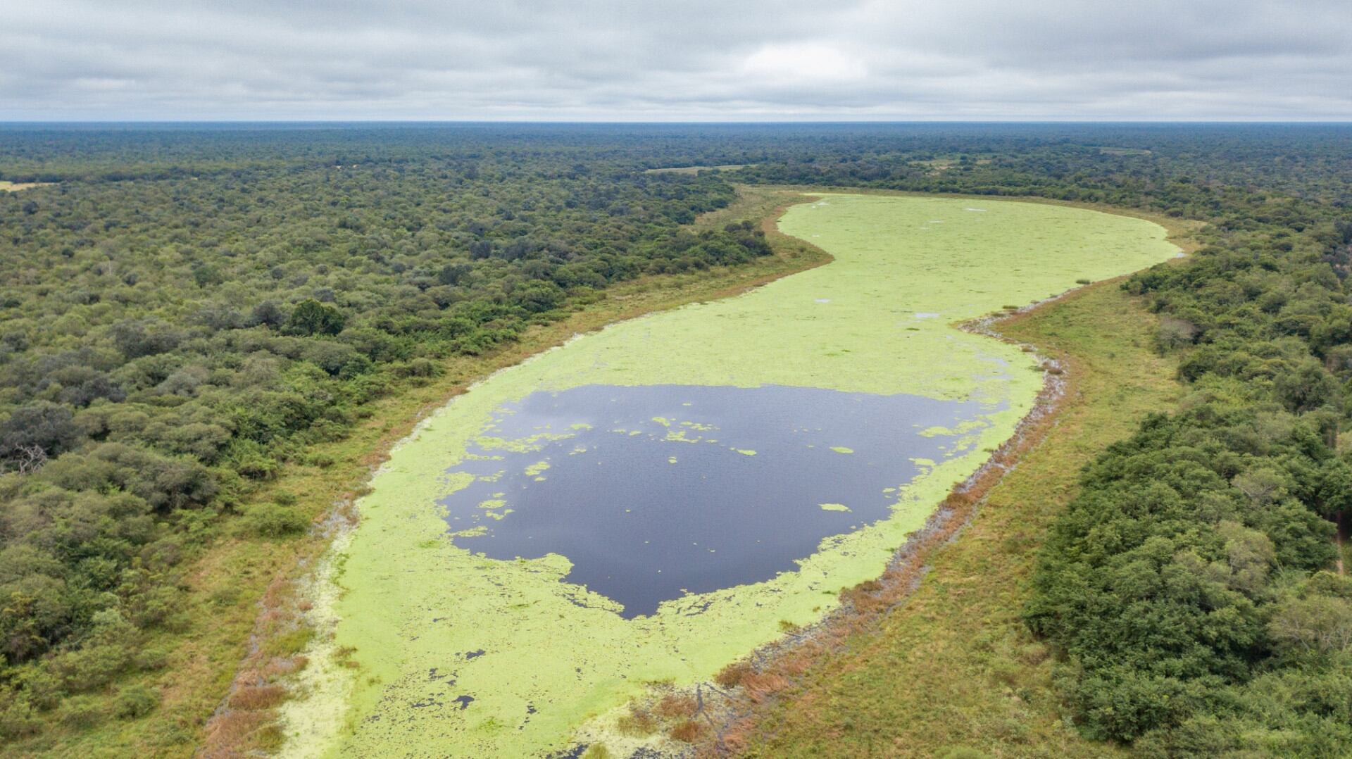 Parque Nacional El Impenetrable en Chaco. Foto: Fundación Rewilding Argentina.