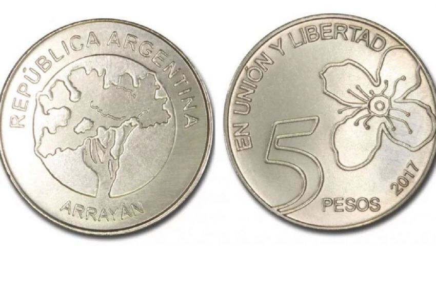 
    El arrayán es el árbol protagonista de la moneda de 5 pesos, que circula hace varios meses.
   