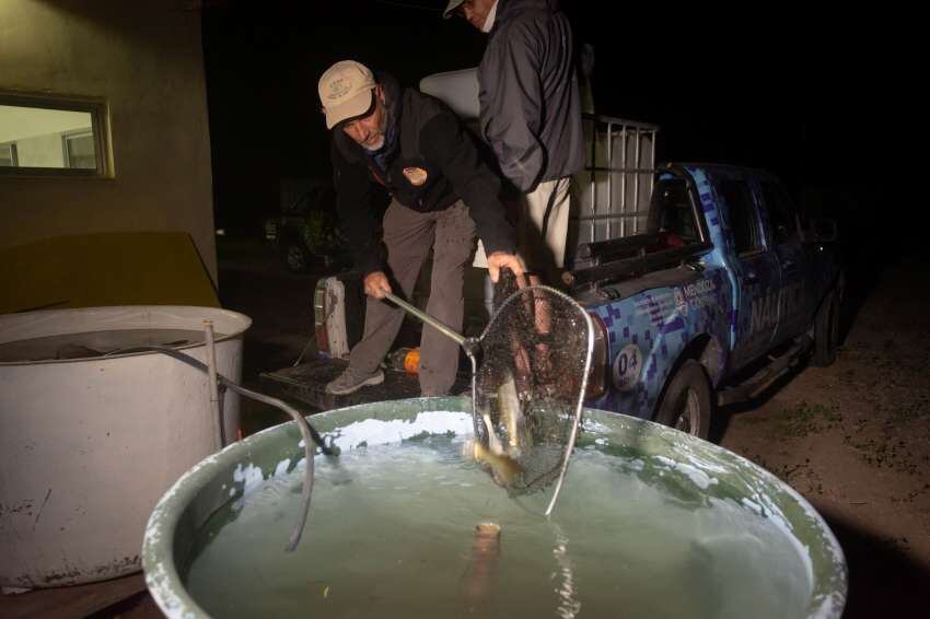 Laguna de las Salinas, de dónde se rescataron más de 1.000 peces, está casi desaparecida por la sequía . Foto: Ignacio Blanco / Los Andes.