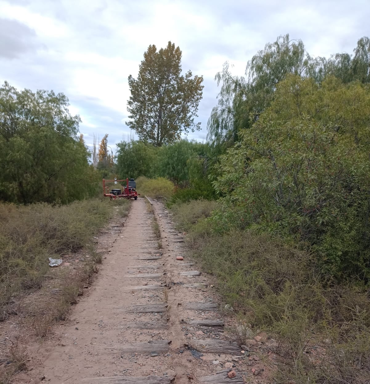 Robo de rieles y material ferroviario: cómo están las vías de Mendoza y cómo se controla su estado. Foto: Gentileza Ferrotur Andino