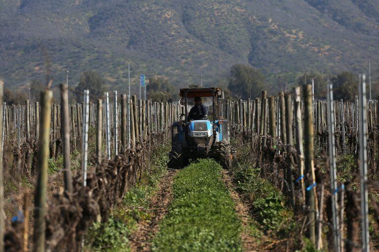 Se aproxima la próxima cosecha y preocupa que no lleguen a tiempo insumos para la elaboración y el fraccionamiento