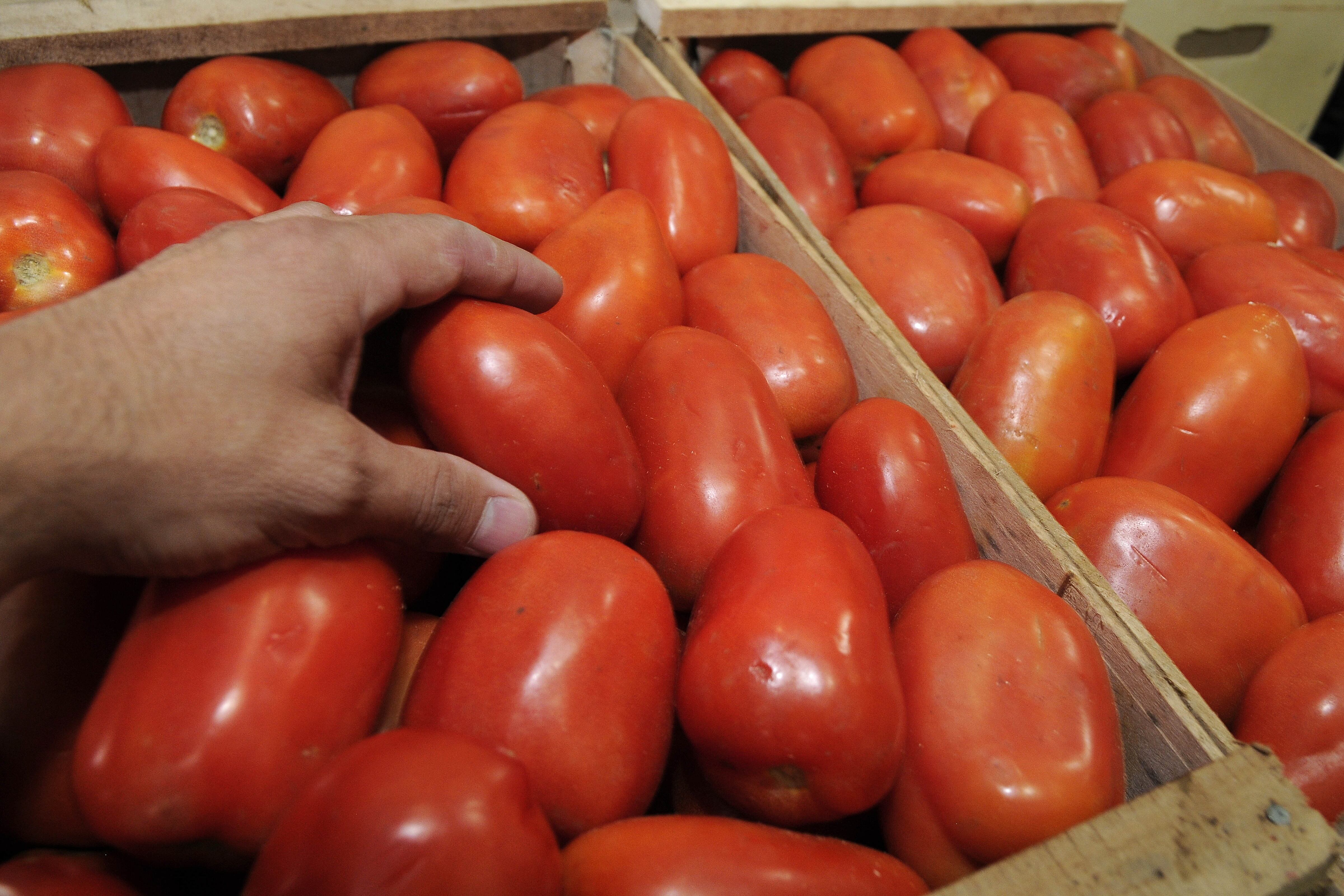 Una empresa mendocina y otra sanjuanina se unen para producir salsa de tomate