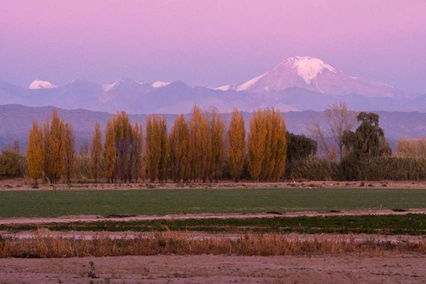 
    Foto: Ignacio Blanco / Los Andes
   