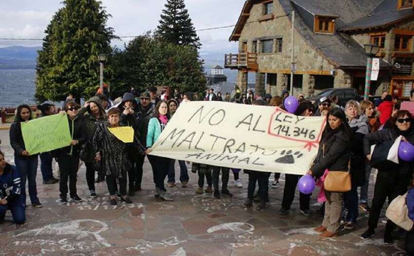 
Vecinos de Bariloche repudiaron el ataque del hombre. | Gentileza / El Cordillerano
   