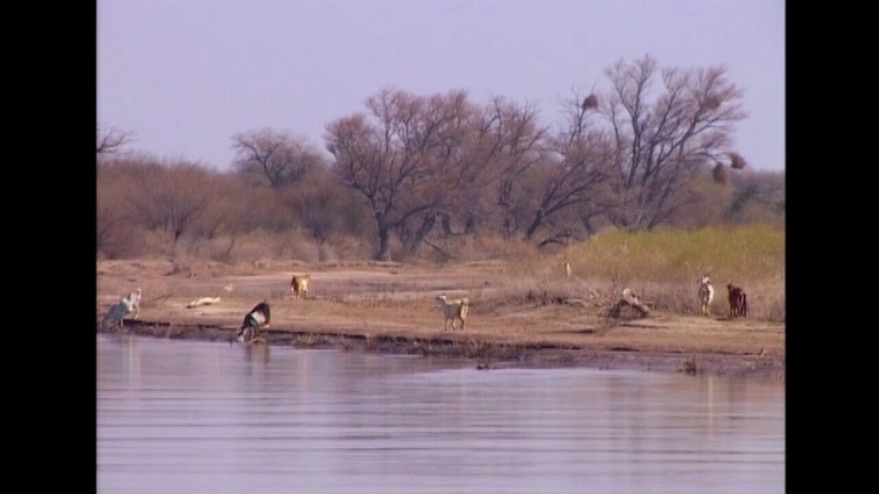 Río San Juan, El Puerto, Lavalle, Mendoza.