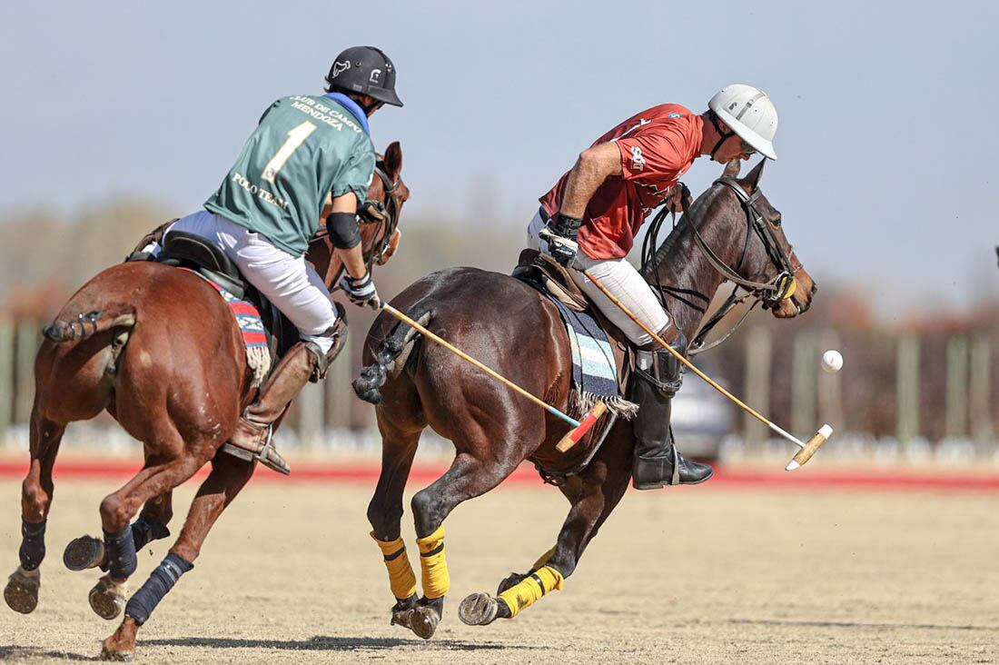 En la jornada de hoy se jugará la quinta fecha y quedarán definidos los equipos finalistas. Foto: Prensa AAP.