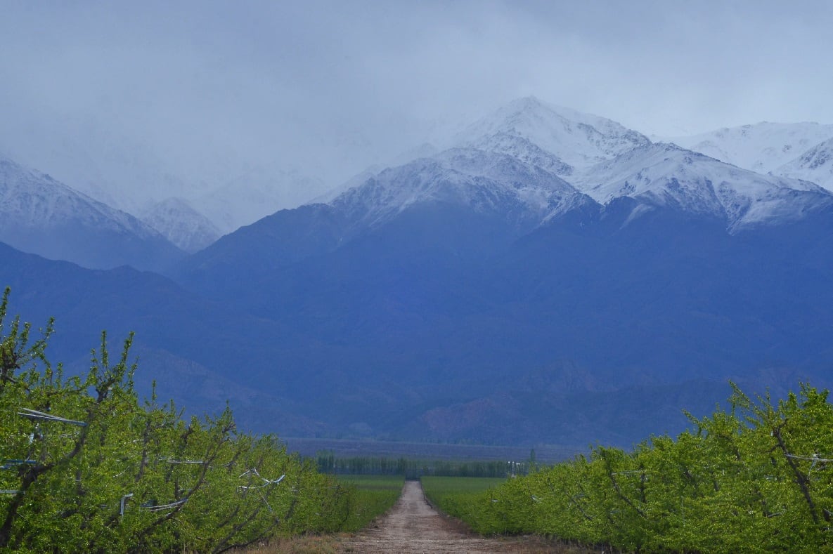 El Valle de Uco, entre Tunuyan y Tupungato