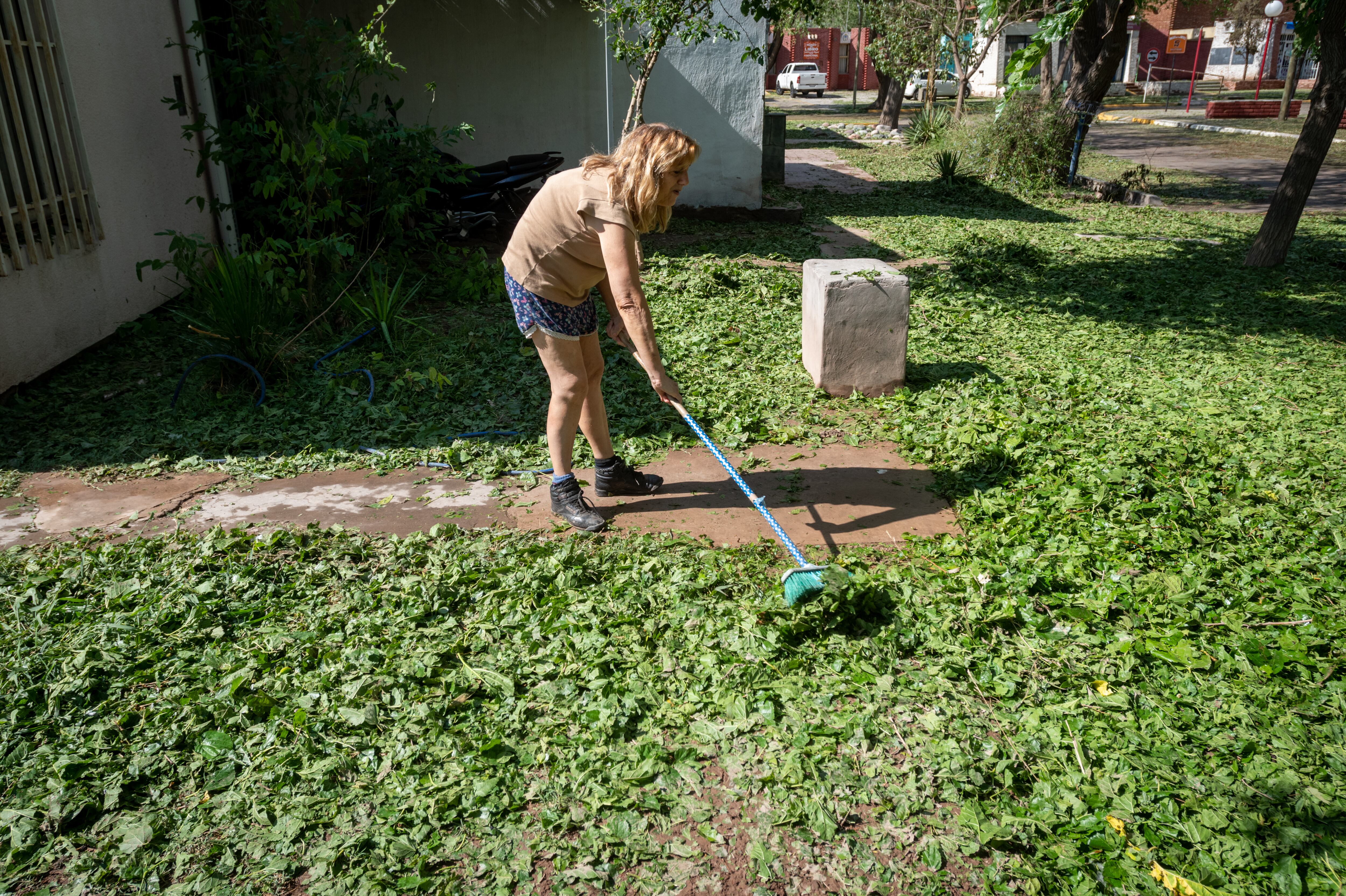 El granizo hizo que las hojas de todos los árboles cayeran sobre veredas y jardines, dejando todo cubierto.