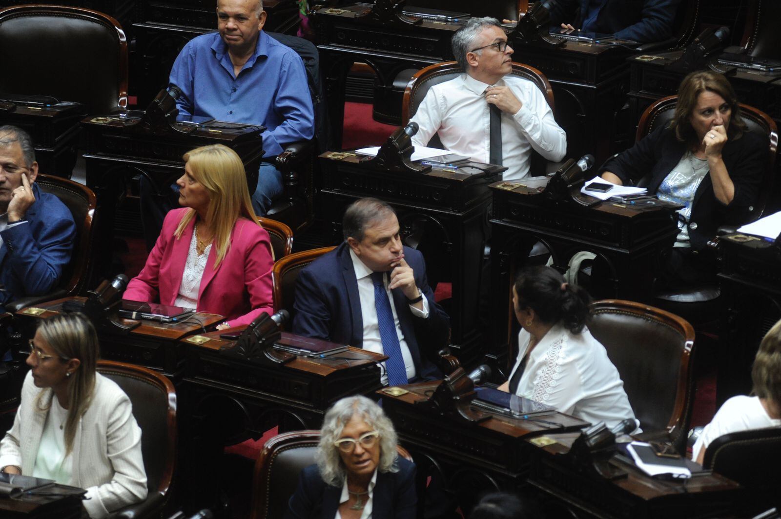 El diputado cordobés Juan Brügge estuvo presente en el recinto (Foto: Federico López Claro)