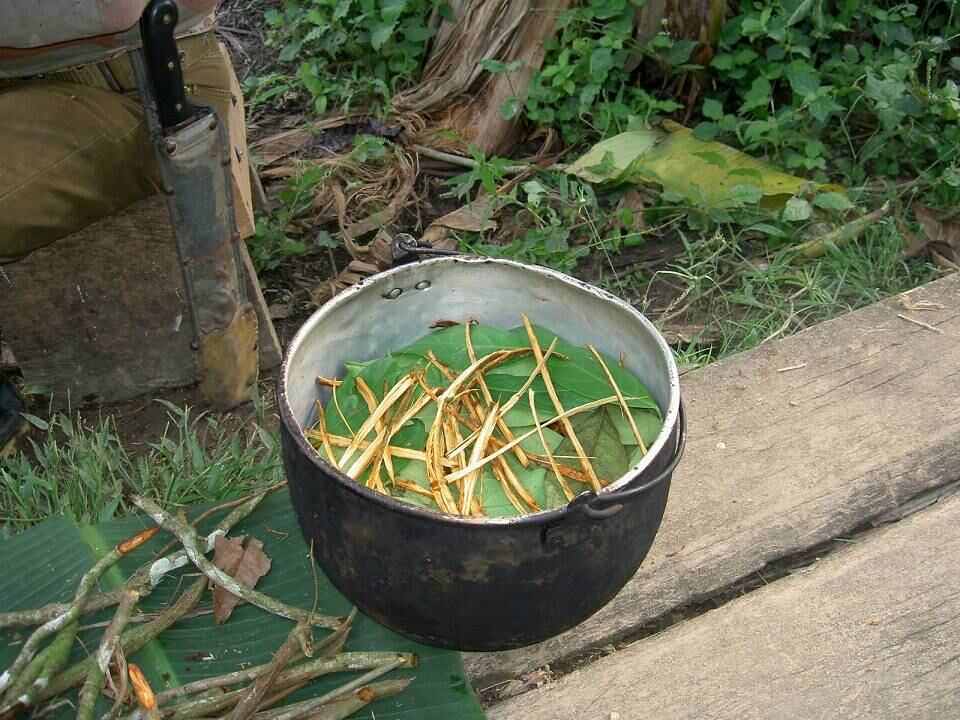 Un canadiense asesinó a un inglés tras beber ayahuasca en Perú