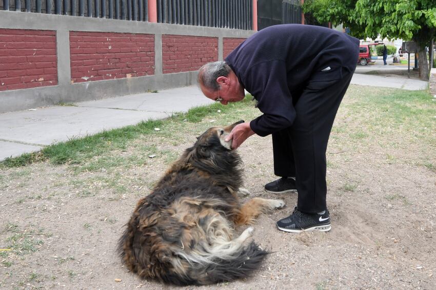 
    Marcelo Rolland / Los Andes
   