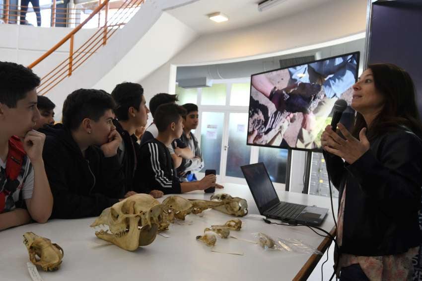 
Curiosos. Un grupo de alumnos de la escuela Pablo Nogués escucha con atención una charla sobre dientes de diversos animales | Marcelo Rolland / Los Andes
   