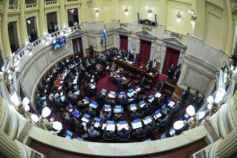 El Senado deberá tratar el proyecto presentado por legisladores del Frente de Todos.