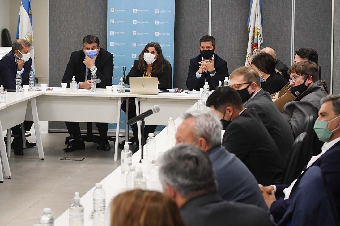 Ana Maria Nadal, Ministra de salud de Mendoza se presentó en la Legislatura para brindar explicaciones sobre los fallecidos por COVID en la provincia. 
