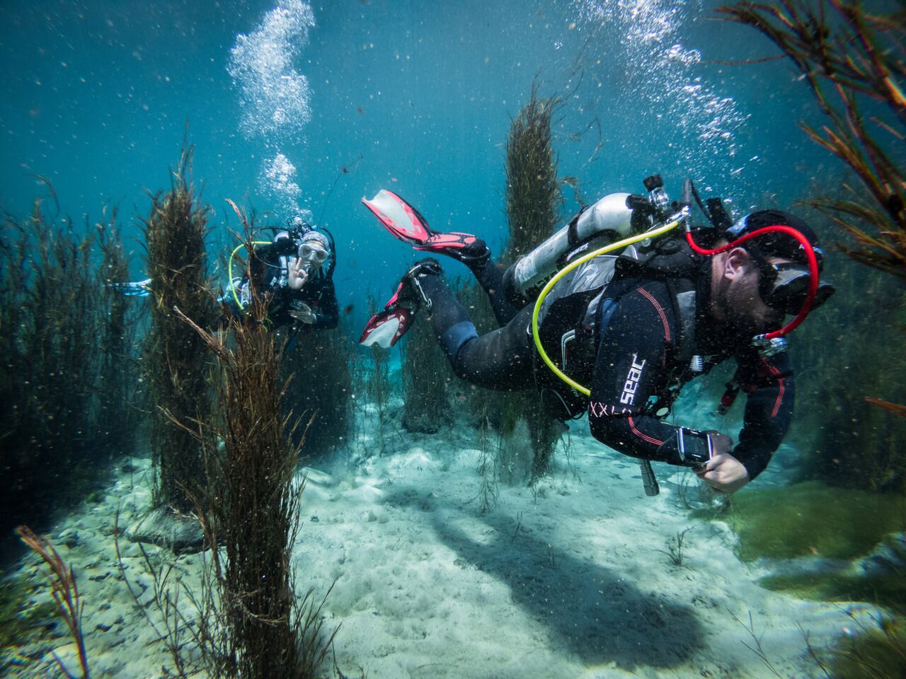 El instructor de buceo Karim Zgaib realiza un relevamiento de flora y fauna en los Pozos de Carapacho en el departamento de Malargüe. Foto: Ignacio Blanco / Los Andes 
