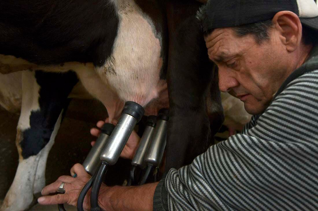 Tambo El Guercio, ubicado en Bermejo Guaymallén. Foto: Orlando Pelichotti / Los Andes