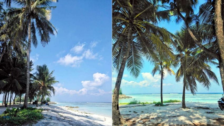 
    Tranquilidad. Un bosque de palmeras junto a la playa, un mar turquesa maravilloso. Ambas imágenes son de la isla de Hulhumale.
   