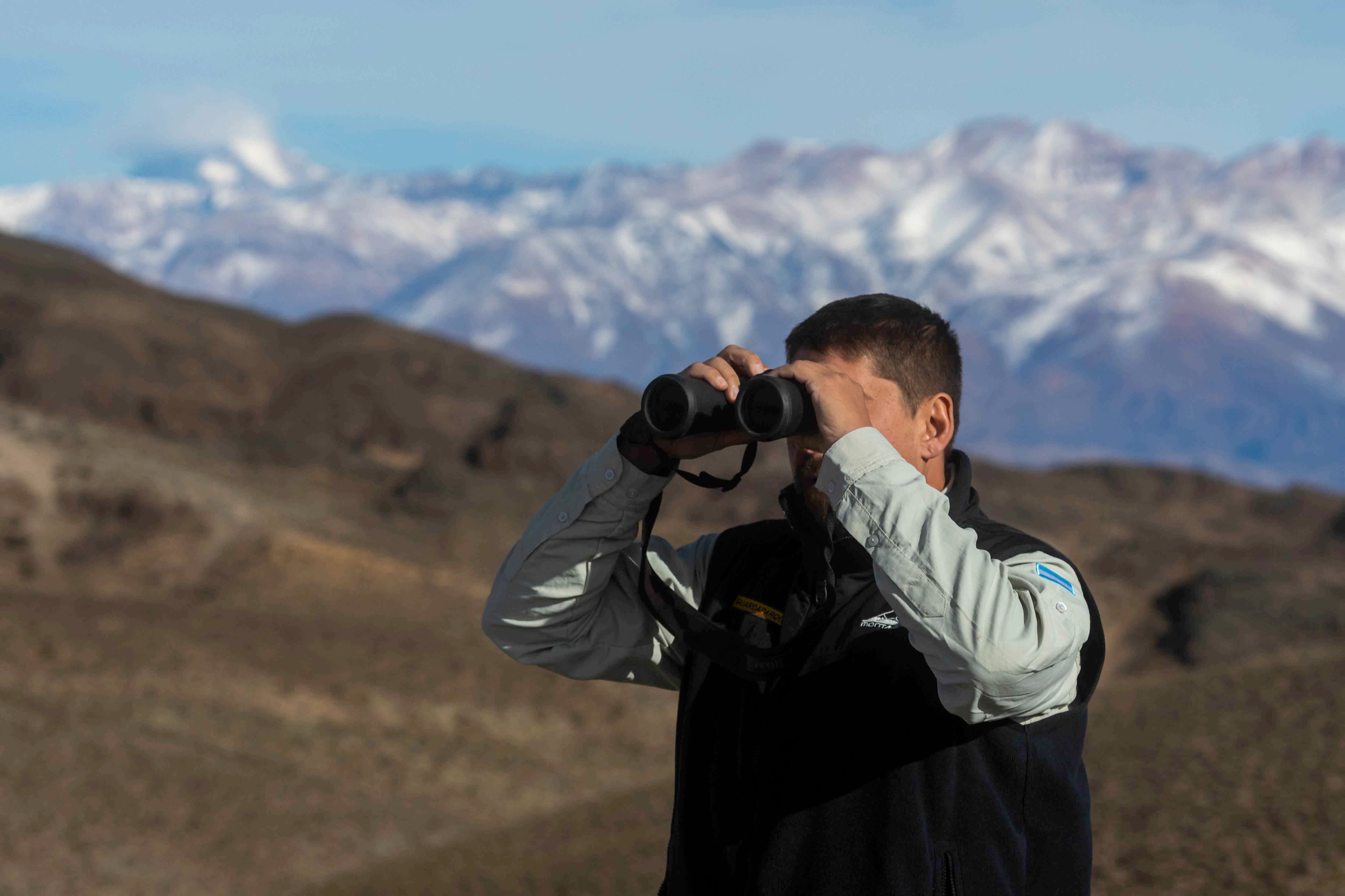 Mendoza 10 de junio de 2020 Sociedad, Reserva Natural Villavicencio
El cuerpo de Guardaparques de la Reserva Natural Villavicencio realiza un atrabajo de conservacion y prevencion de la caceria ilegal. Gracias a este trabajo se comenzo a recuperar la poblacion de las destintas especies que habitan la montana mendocina.    
Guardaparque Martin Perez recorre dia a dia la reserva en busca de cazadores furtivos 
 
Foto: Ignacio Blanco / Los Andes
guanaco montana