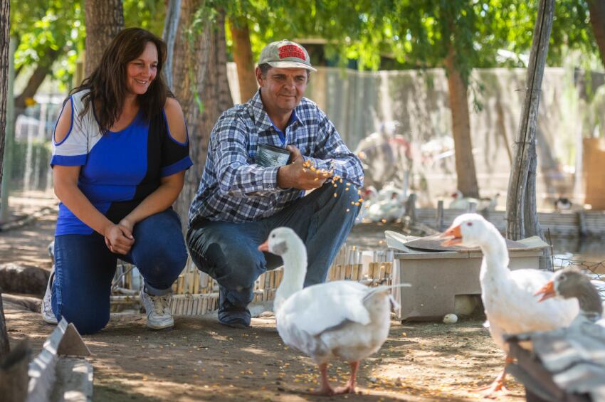 
Ana Lía Di Lorenzo y Daniel Pérez, dan de comer a los gansos del ex Zoo (hoy Ecoparque). | Ignacio Blanco / Los Andes
   