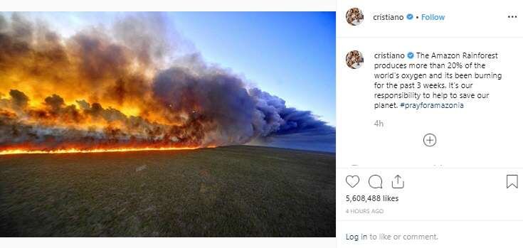 
La foto no muestra la selva amazónica.
