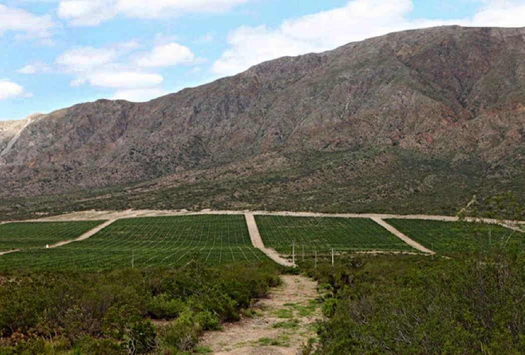 El hermoso Valle de Pedernal.