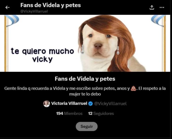 El objetivo del grupo "Fans de Videla y petes" es ironizar y exponer sobre las críticas que recibe en redes la titular del Senado - Captura de video