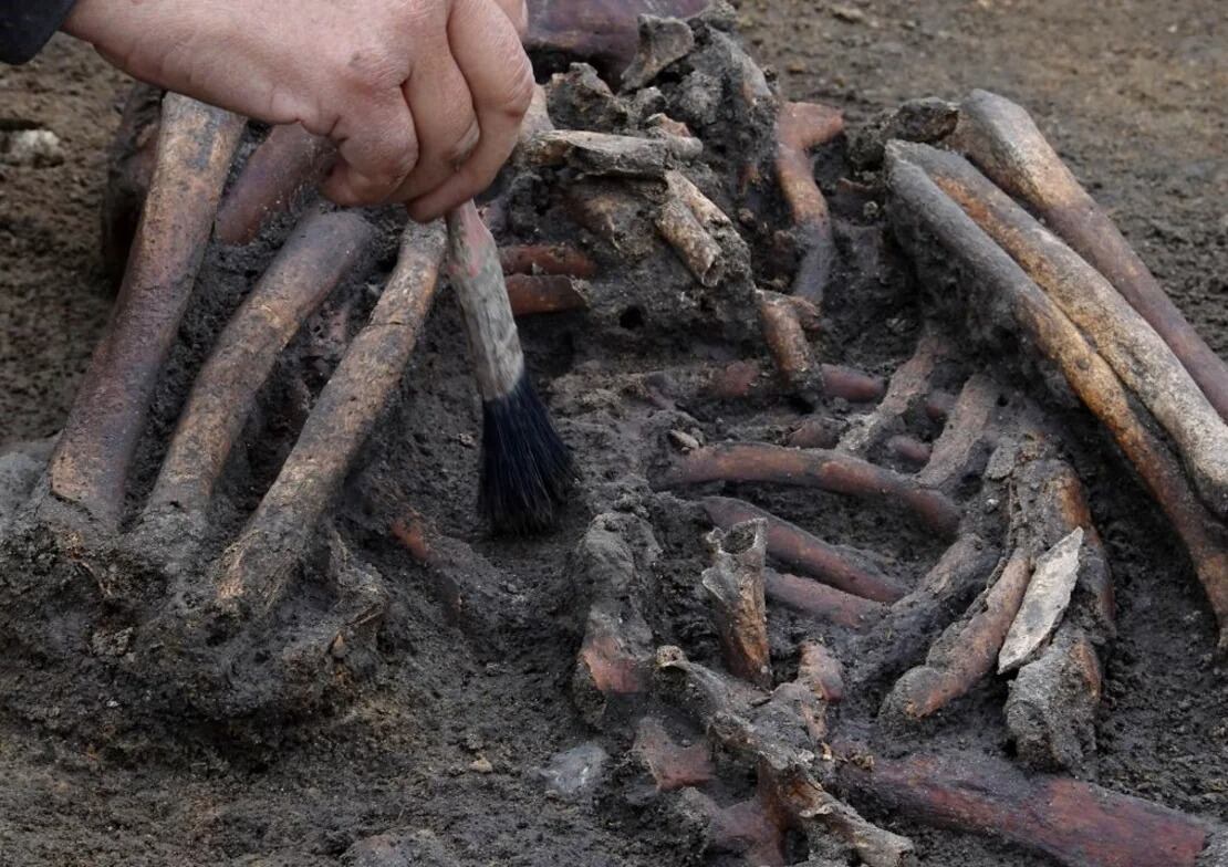 Los esqueletos estaban excepcionalmente bien conservados debido a la tiza y el agua del suelo. Crédito: Tom Little/Reuters