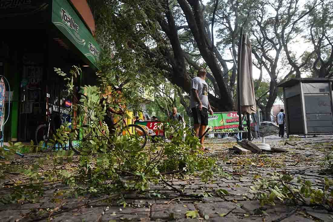 Foto: José Gutierrez/ Los Andes 