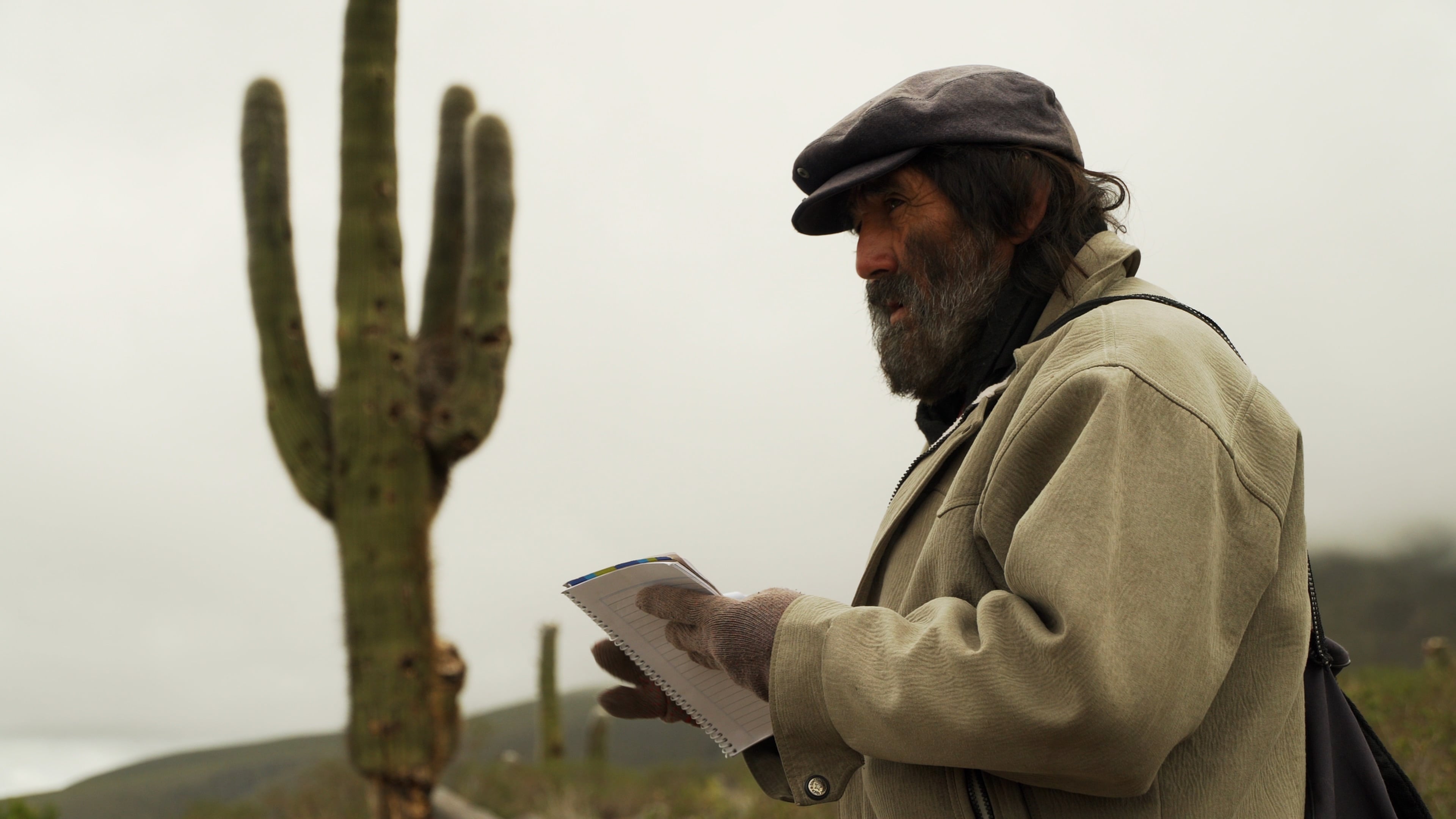 Luego de treinta años, la realidad de Mario había cambiado. 