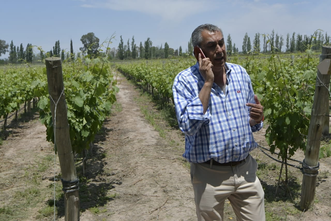 Enrique Vaquié anunció medidas para Mendoza y pidió que el dólar diferencial se aplique por más tiempo. - Orlando Pelichotti / Los Andes