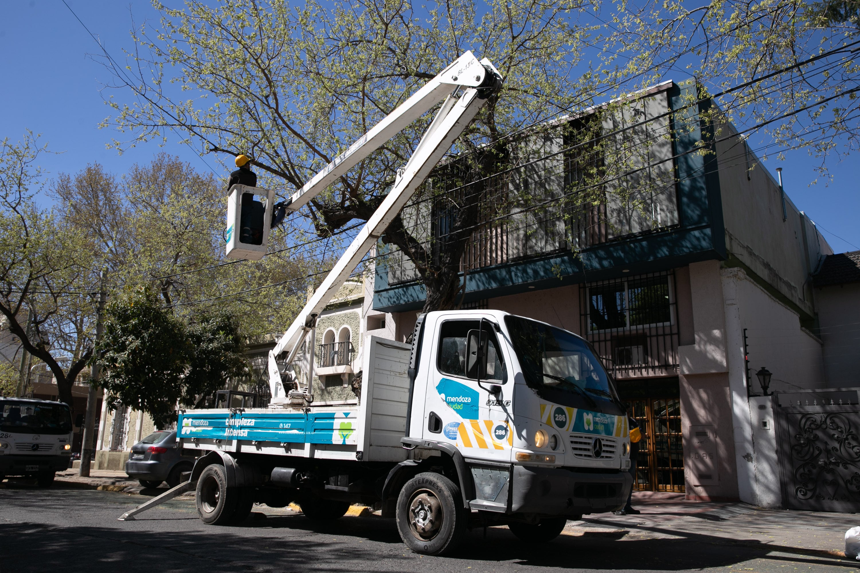 La Ciudad de Mendoza intensifica el Operativo 360 en la Quinta Sección y proyecta futuras intervenciones