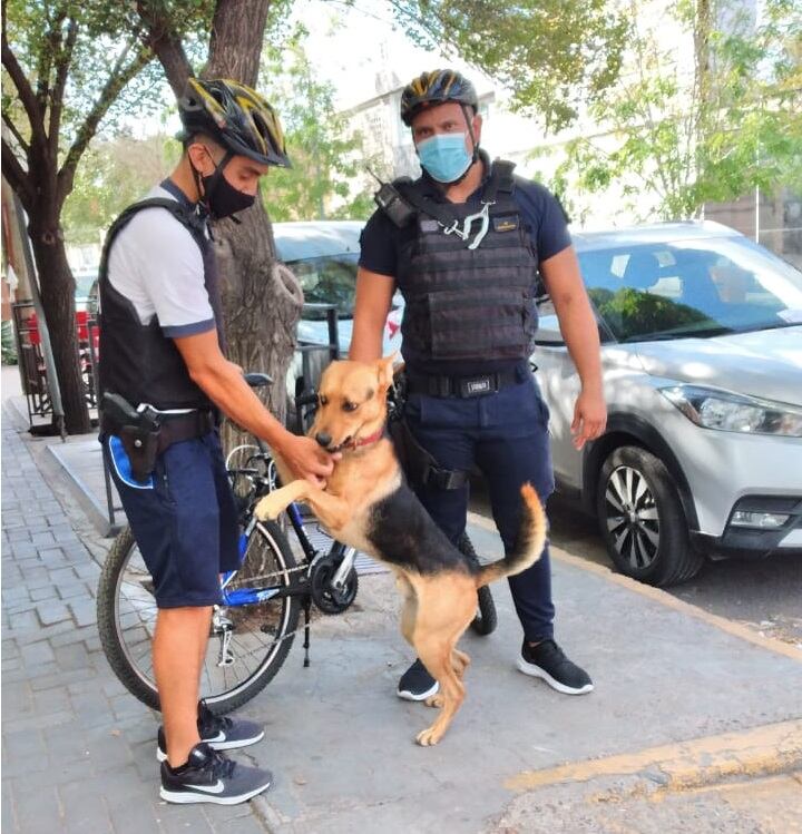 Todos los días, Camilo acompaña a los dos bicipolicías en todas sus intervenciones y rondines.