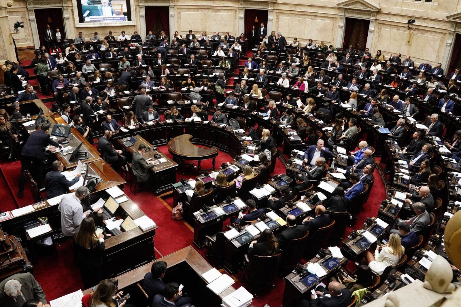 Debate de la Ley Bases en la Cámara de Diputados (Foto: Federico López Claro)