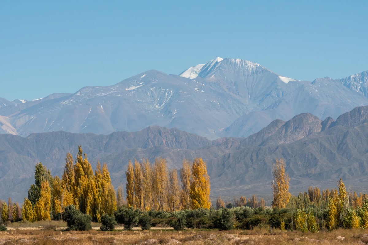 El colorido otoño en Mendoza

Foto: Ignacio Blanco / Los Andes 