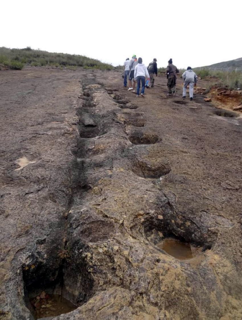 
    Huellas de dinosaurios en el Parque Nacional Torotoro.
   