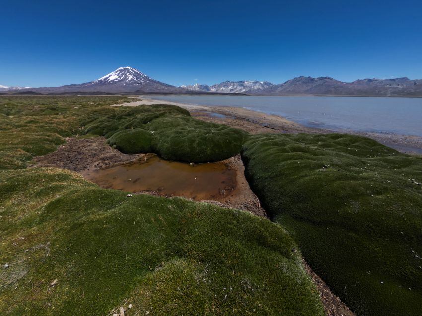 Paso a Chile por la Laguna del Diamante: quieren habilitarlo provisoriamente para el próximo verano. Foto: Archivo Los Andes