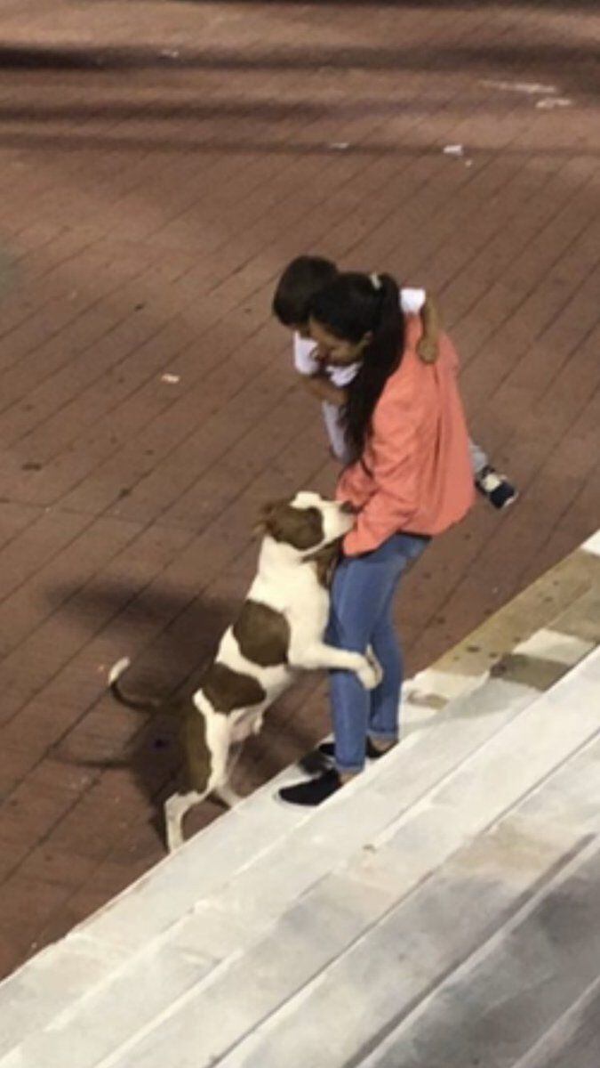 
    En cancha de Huracán de Parque Patricios.
   