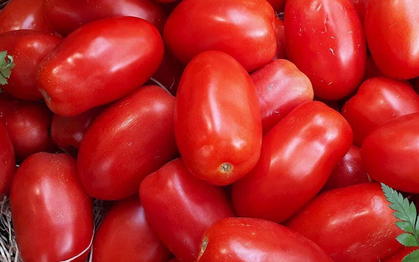 
    Poco share. Argentina tiene el 1% de las exportaciones de tomate.
   