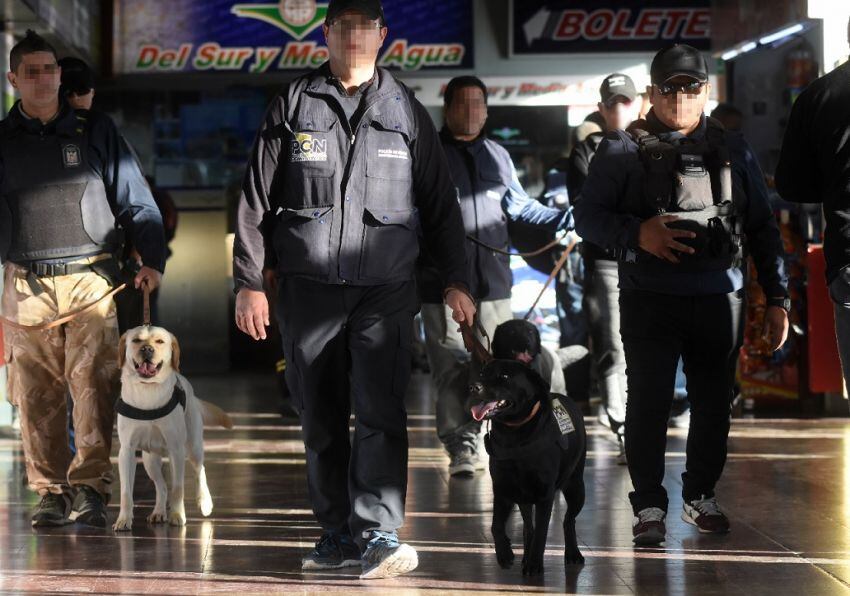 
Los perros, sus guías y otros efectivos patrullan por la terminal. | Gustavo Rogé / Los Andes
   