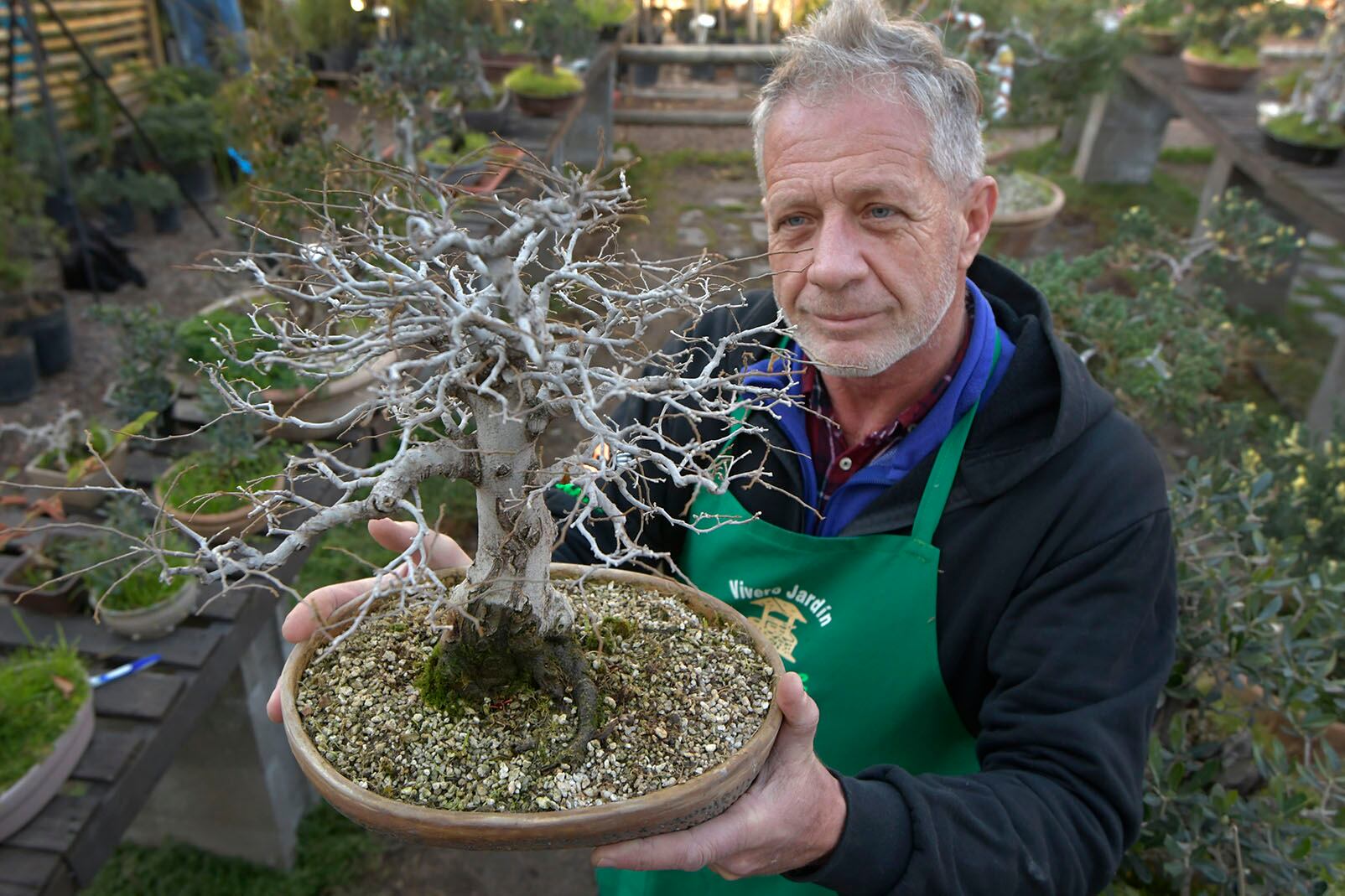 Ángel Fernández, cultiva cientos de bonsáis en su vivero de Godoy Cruz. Todo allí es un tiempo sin tiempo. Foto: Orlando Pelichotti / Los Andes