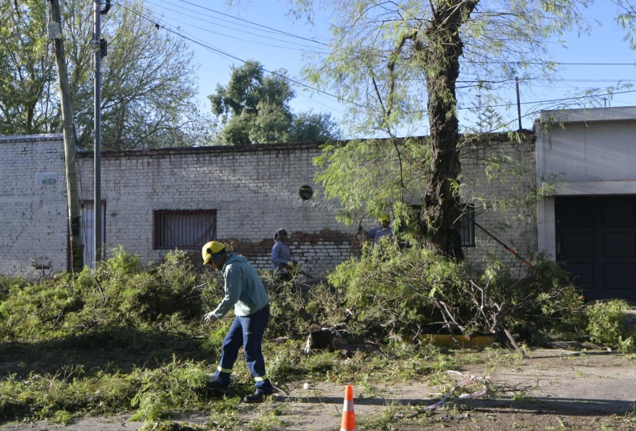 El día después de la catástrofe: Guaymallén, el departamento más golpeado por el temporal y sus consecuencias. En San José hubo varios árboles caídos. Foto: Orlando Pelichotti / Los Andes.