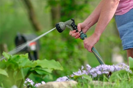 Esto ocurre si le echas cloro a las plantas del jardín