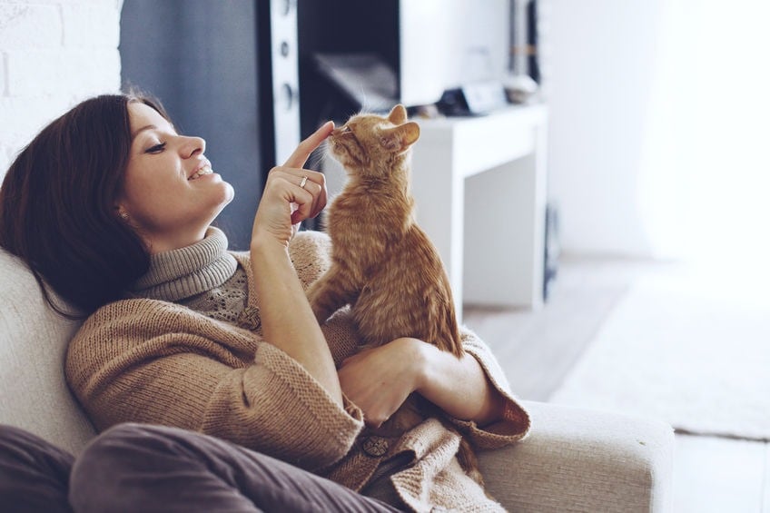 Aunque los gatos no demuestran su amor de manera tan evidente como otros animales, sus gestos sutiles pueden decir mucho.