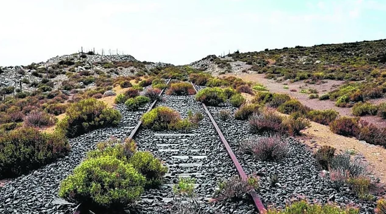 Se deben realizar inversiones millonarias para recuperar el tendido de vías en Neuquén. Foto: Diario Río Negro