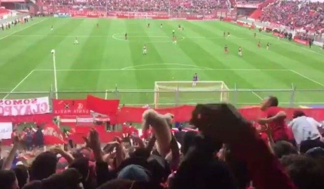 
    El caniche es hincha del Rojo de Avellaneda.
   