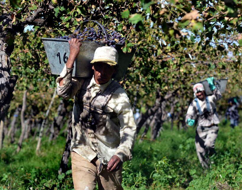 El 16 de diciembre abren las inscripciones para el REPRO por Emergencia Agropecuaria